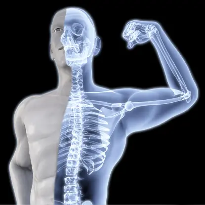 Kemik Sağlığı / Osteoporoz